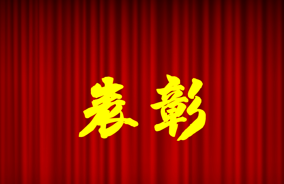 逐光前行、榮耀共鑒 | 公司2024年度表彰來(lái)啦！